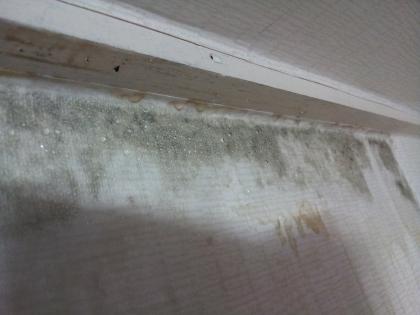 http://m.ppomppu.co.kr/new/bbs_view.php?id=house&no=5843 뽐뿌:부동산포럼