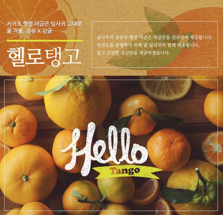 뽐뿌:소셜게시판 - [쿠팡] 헬로탱고 감귤 10kg/5kg (8,800원/무료배송) 추가 조건부 5,000원 쿠폰할인[쿠팡] 헬로탱고 감귤 10kg/5kg (8... 