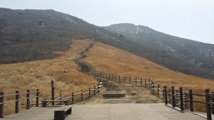 뽐뿌:등산포럼 - 간월재~~~영축산 간월재~~~영축산